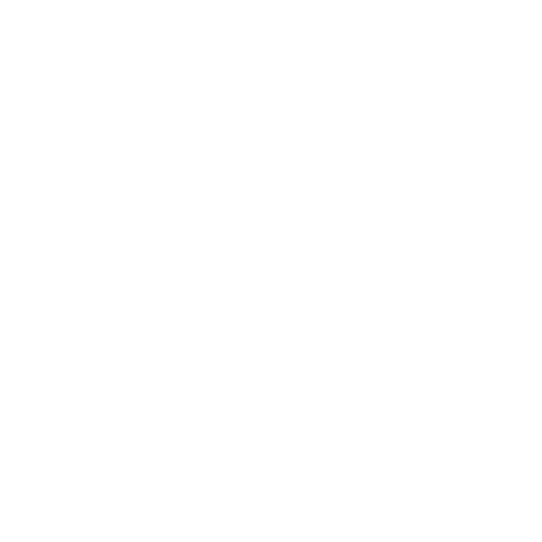 Logo de Lider IA